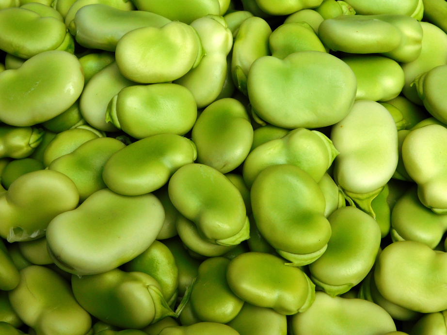 Fava beans